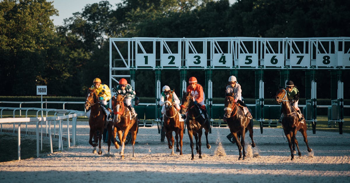 Belmont Stakes 2026 NYC Day Trip: Charter Bus & Limo Transportation to Saratoga