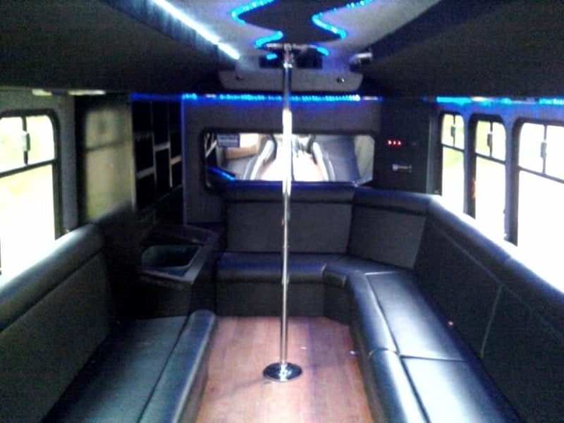 15-Passenger Sprinter Party Bus — premium interior + LED lighting