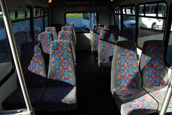 The Ultimate Guide to School Bus Rental for Field Trips &amp; School Outings