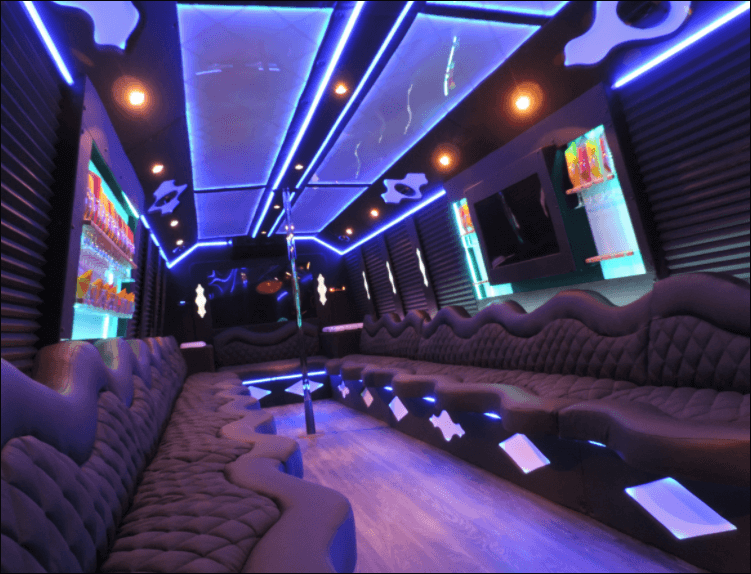 20 Passenger Party Bus Rental - Unlimited Charters