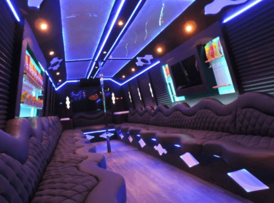 20 Passenger Party Bus - Unlimited Charters