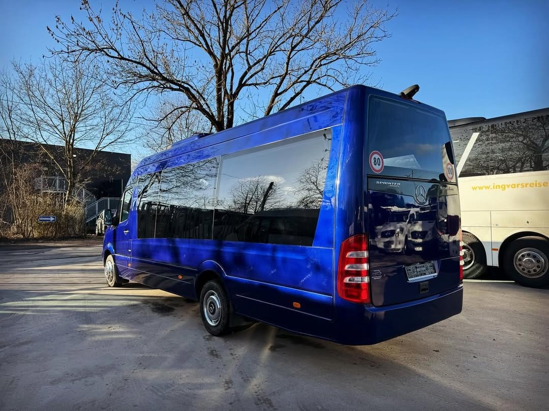18 Passenger Mini Bus Rental
