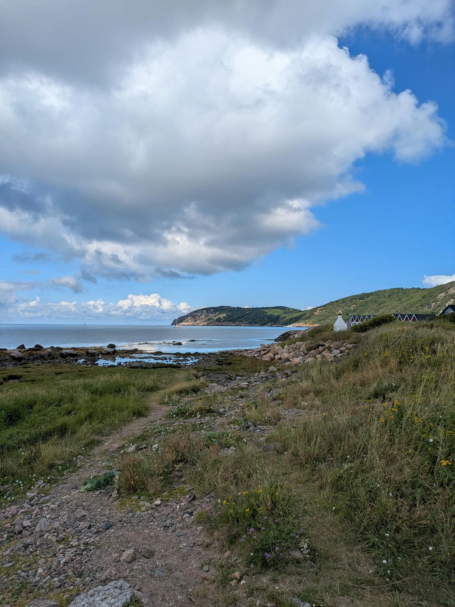 Why Choose Unlimited Charters for Your East Harwich Adventure