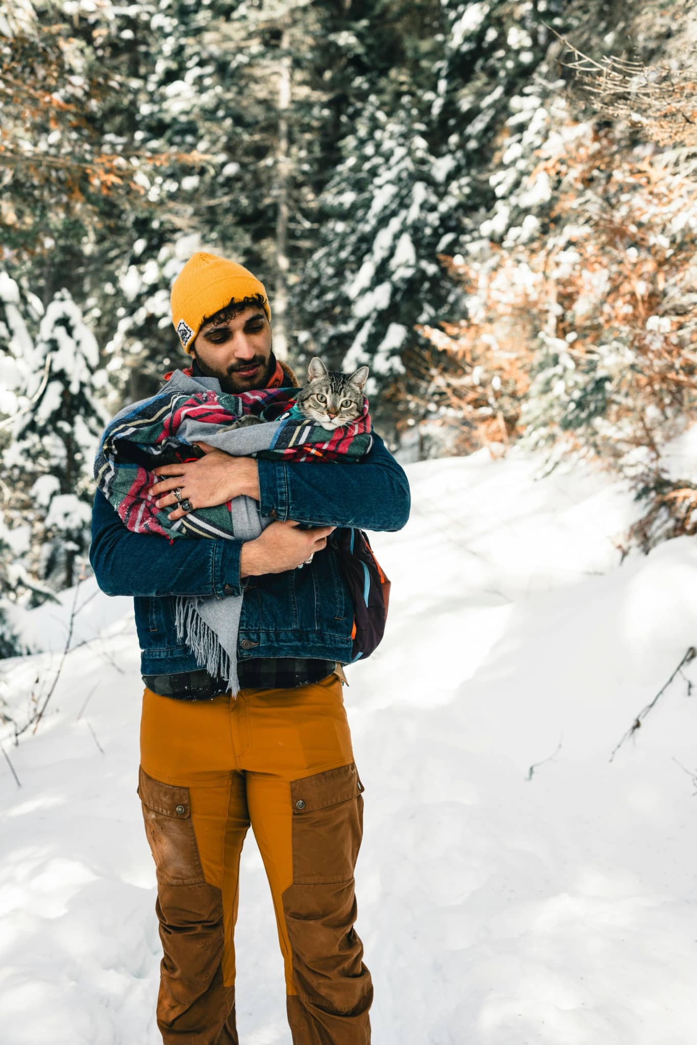 Safety and Comfort for Your Casino Adventures