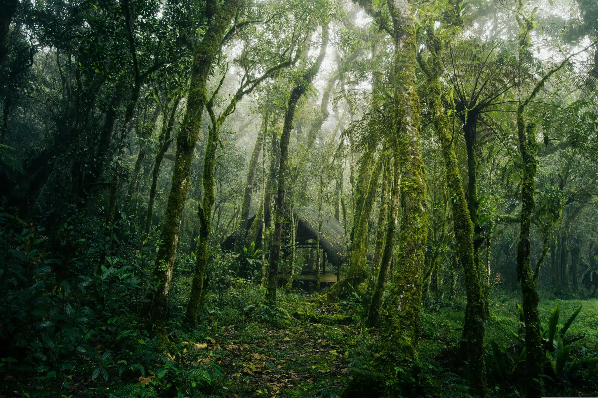 Explore Preston’s Hidden Gems with a Gambling Shuttle Bus