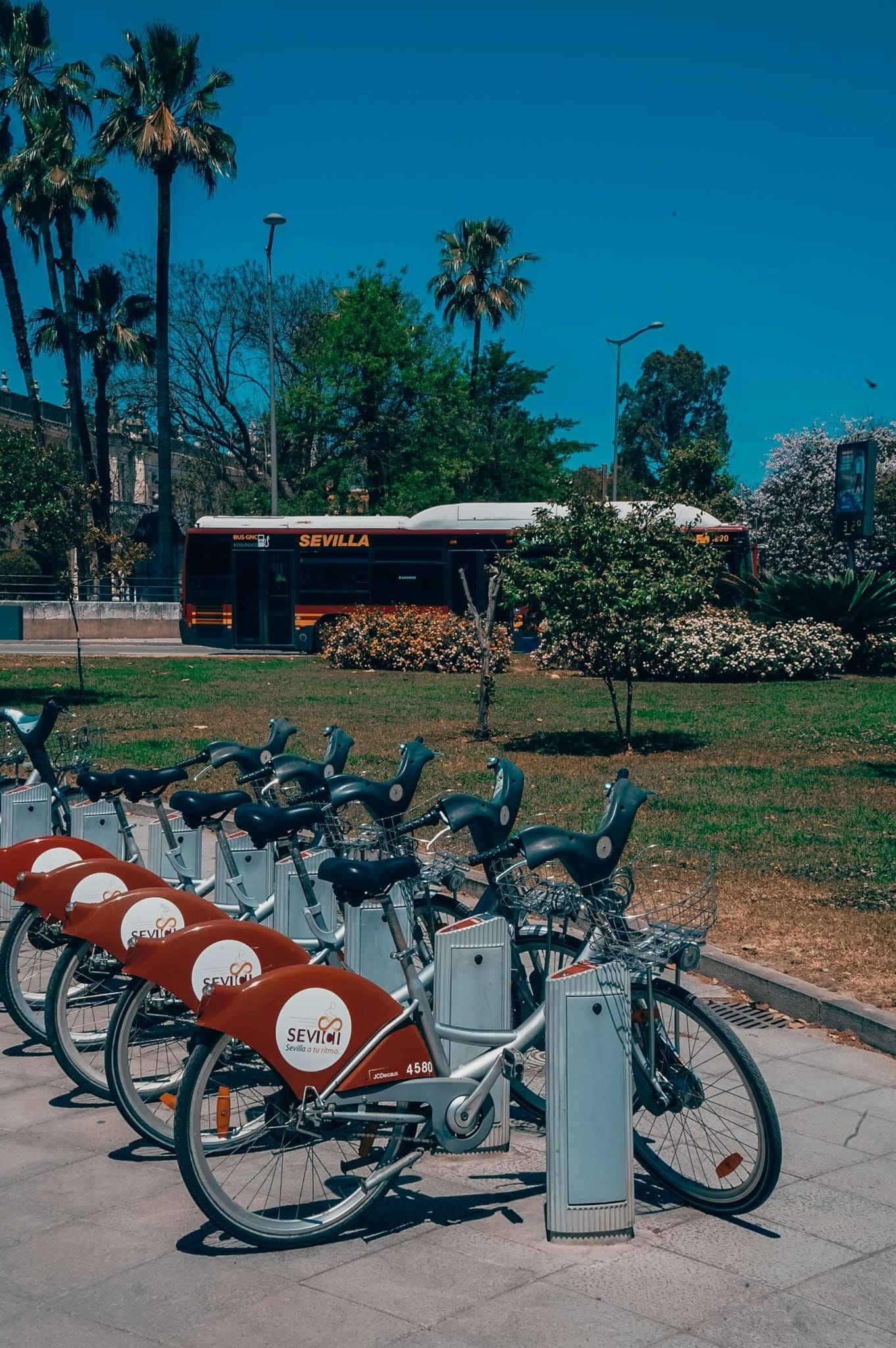 Top Destinations in Hyde Park with a Mini Bus Rental