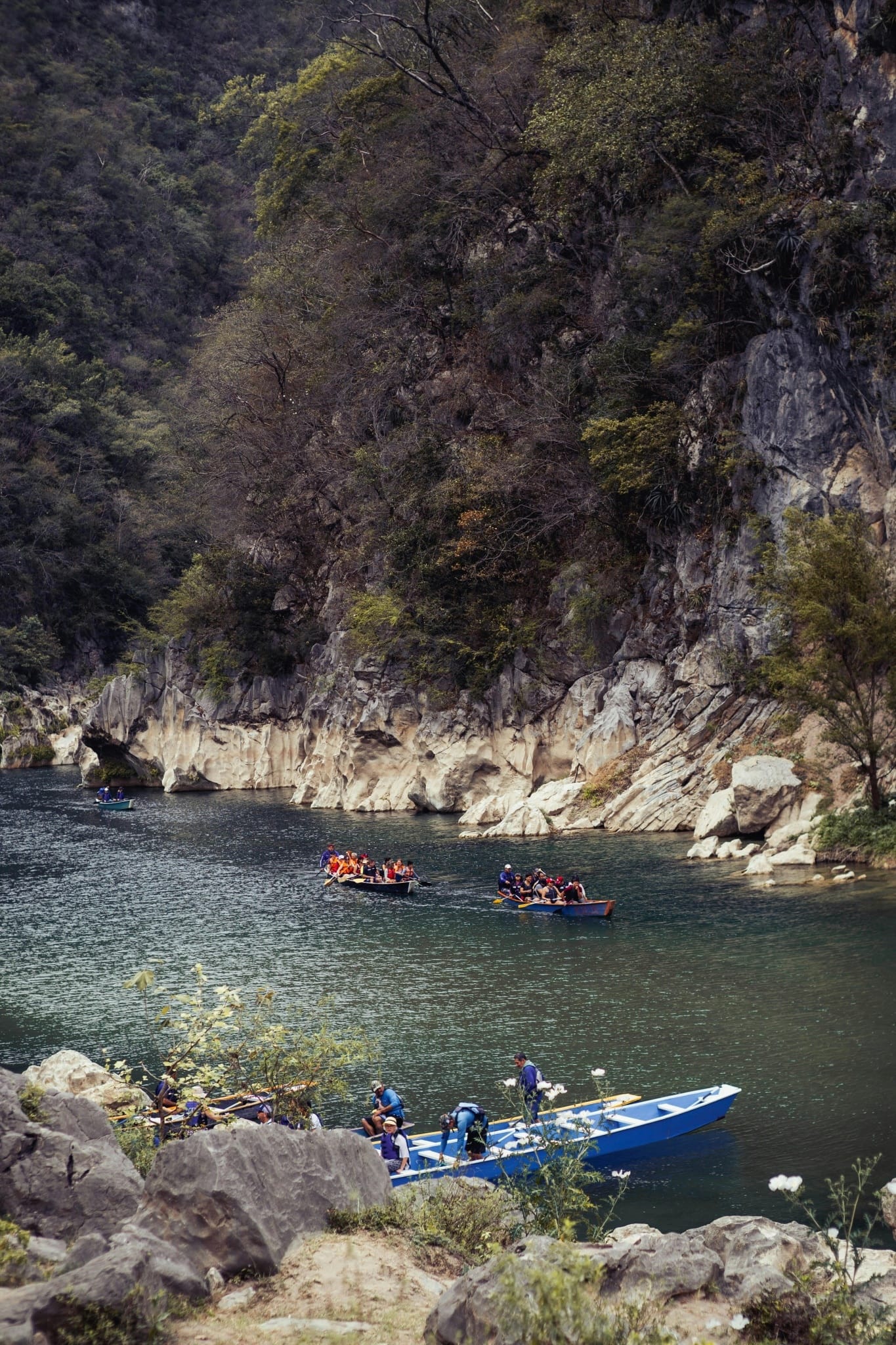 Safe and Reliable Group Travel Near Mills River Hotspots