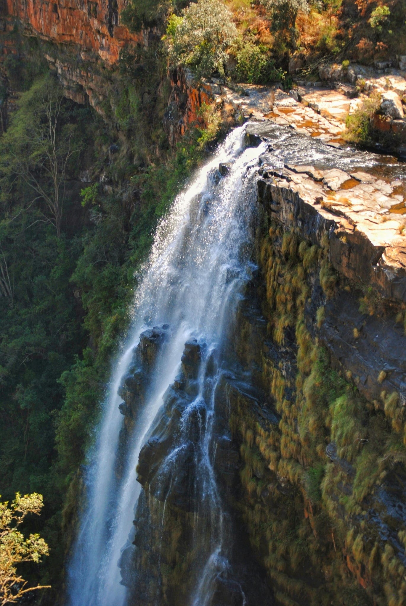 Explore Moss Bluff with an 18 Passenger Mini Bus in Moss Bluff, Louisiana