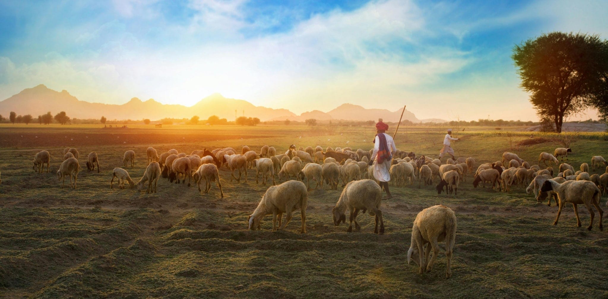 Why Choose Unlimited Charters for Your Plains Journey