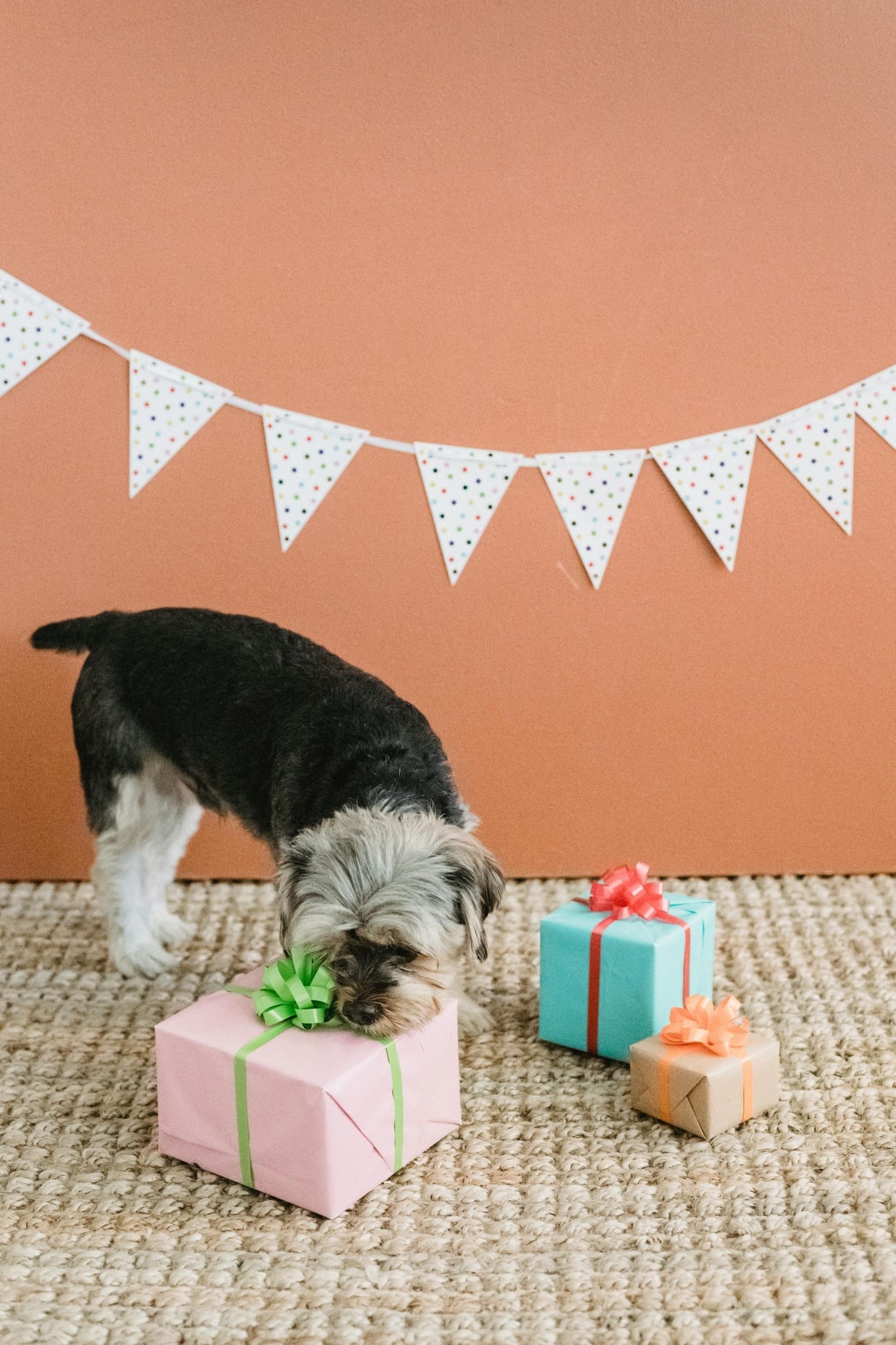 Celebrate Events at Forest’s Points of Interest with Ease