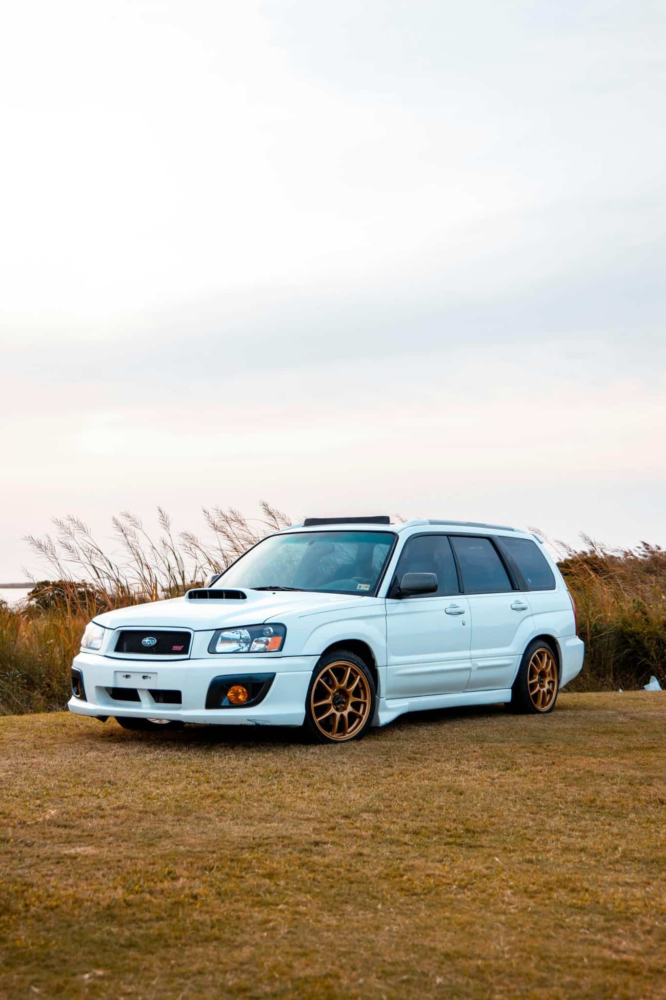 Safety and Reliability on Every Buffalo Grove Journey