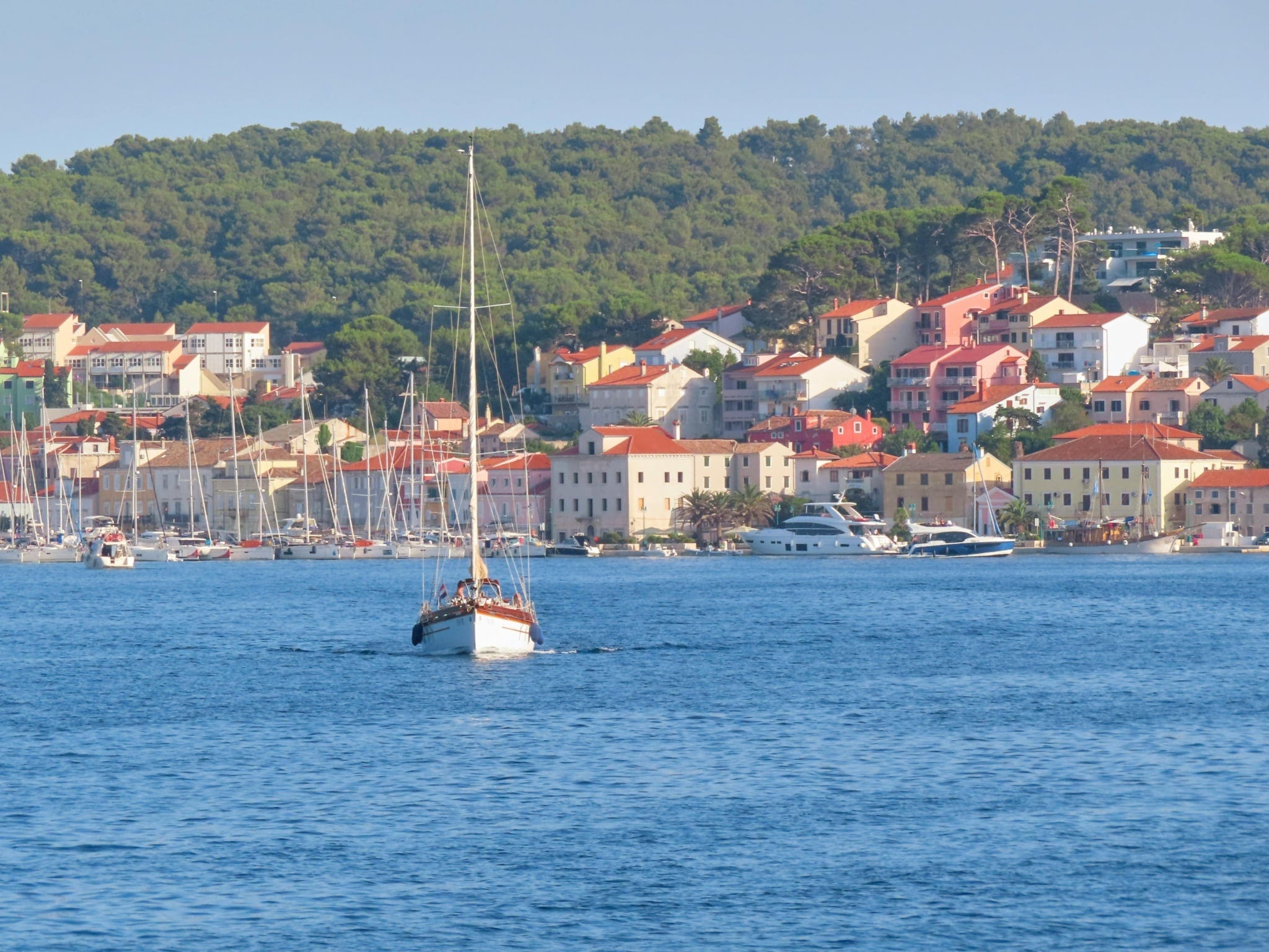 Safe and Reliable Charter Services for Morro Bay Exploration