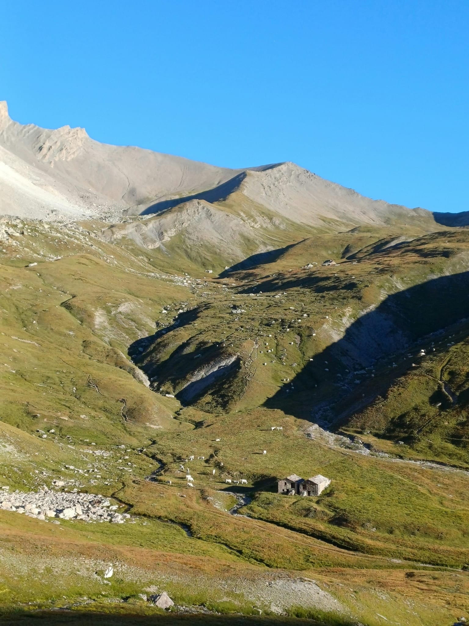 Book Your Mountain Brook Adventure Today