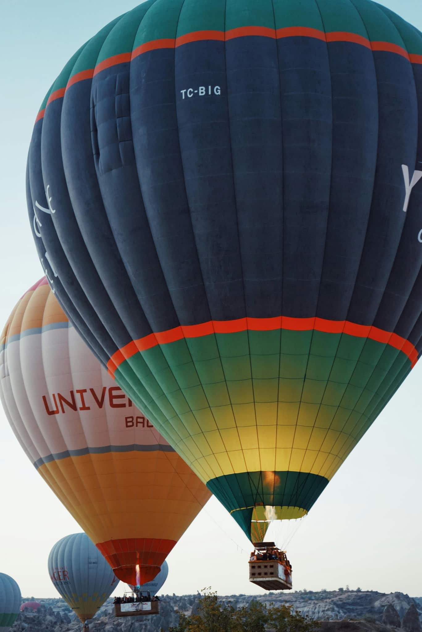 Efficient Transport for Events and Sightseeing