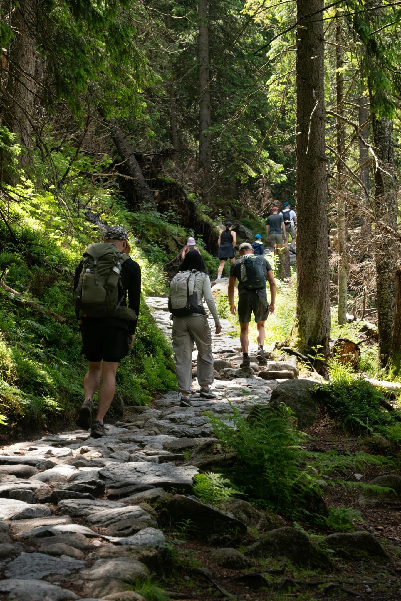 Top Destinations in Danville for Group Adventures