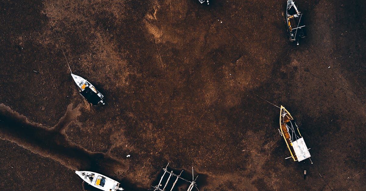 Fleet Expansion Benefits